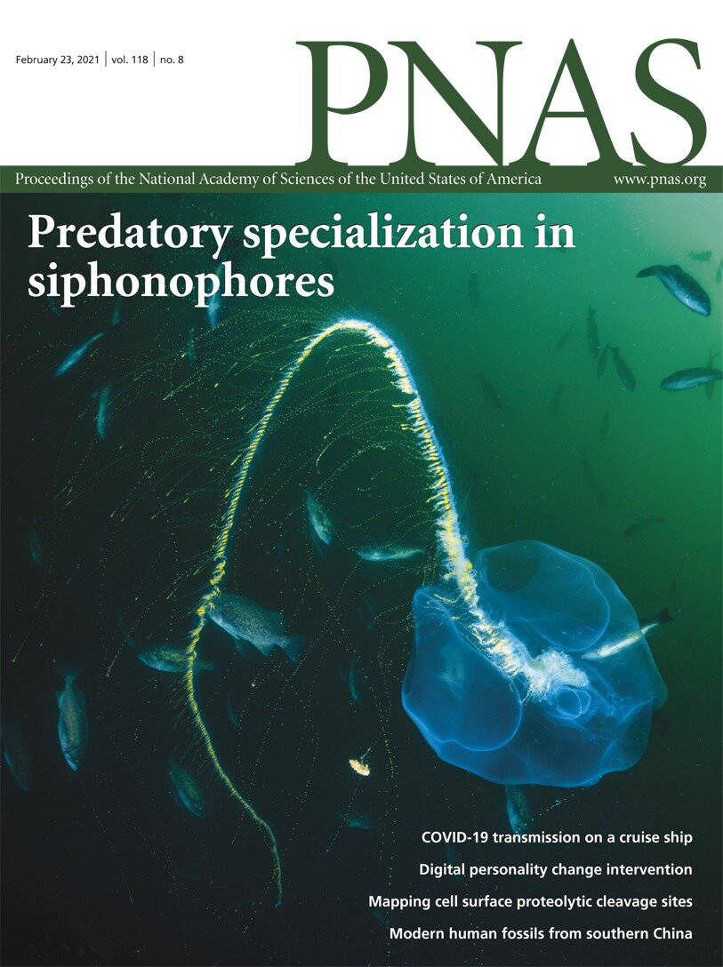 PNAS cover - tentilla evolution