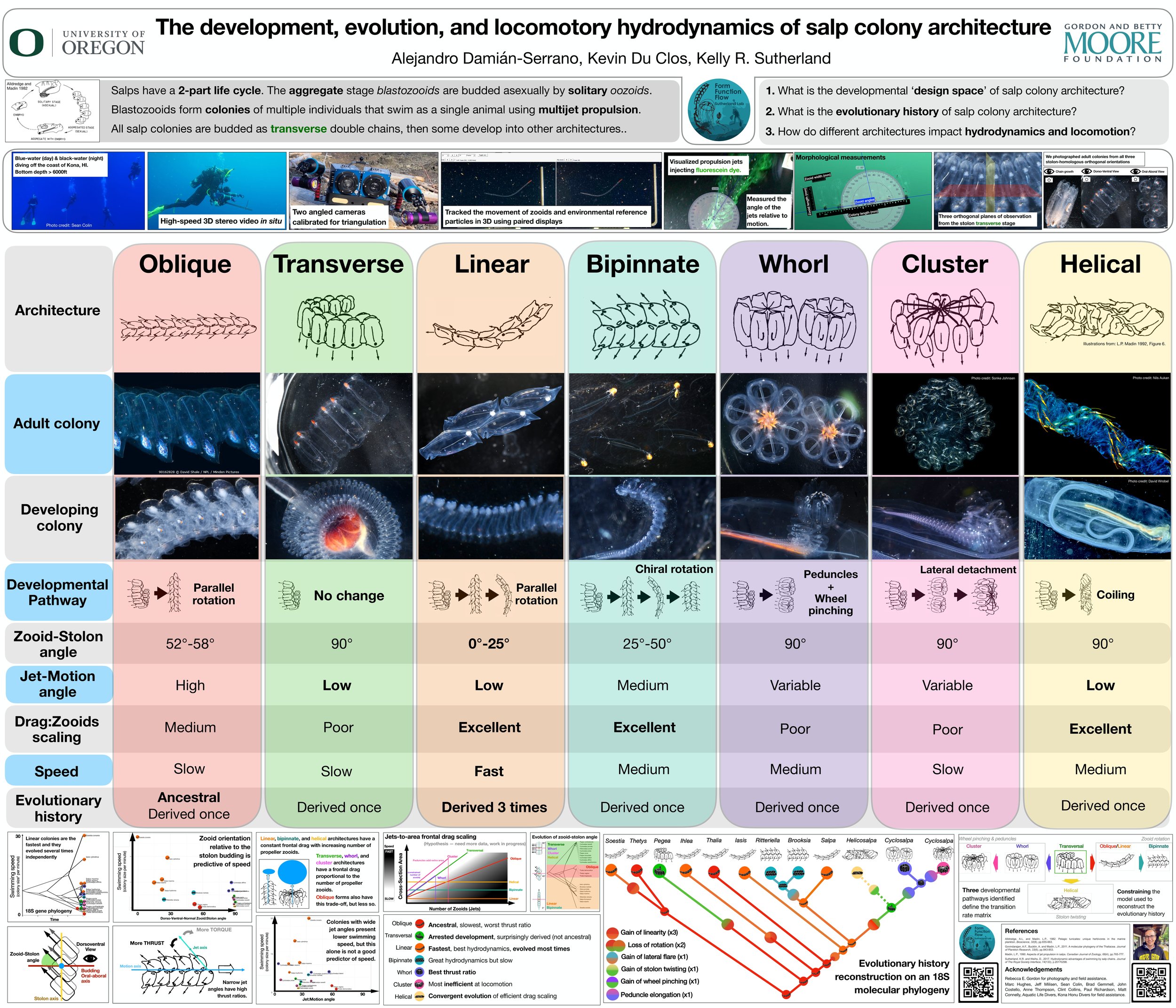 UO Biology Symposium 2022
