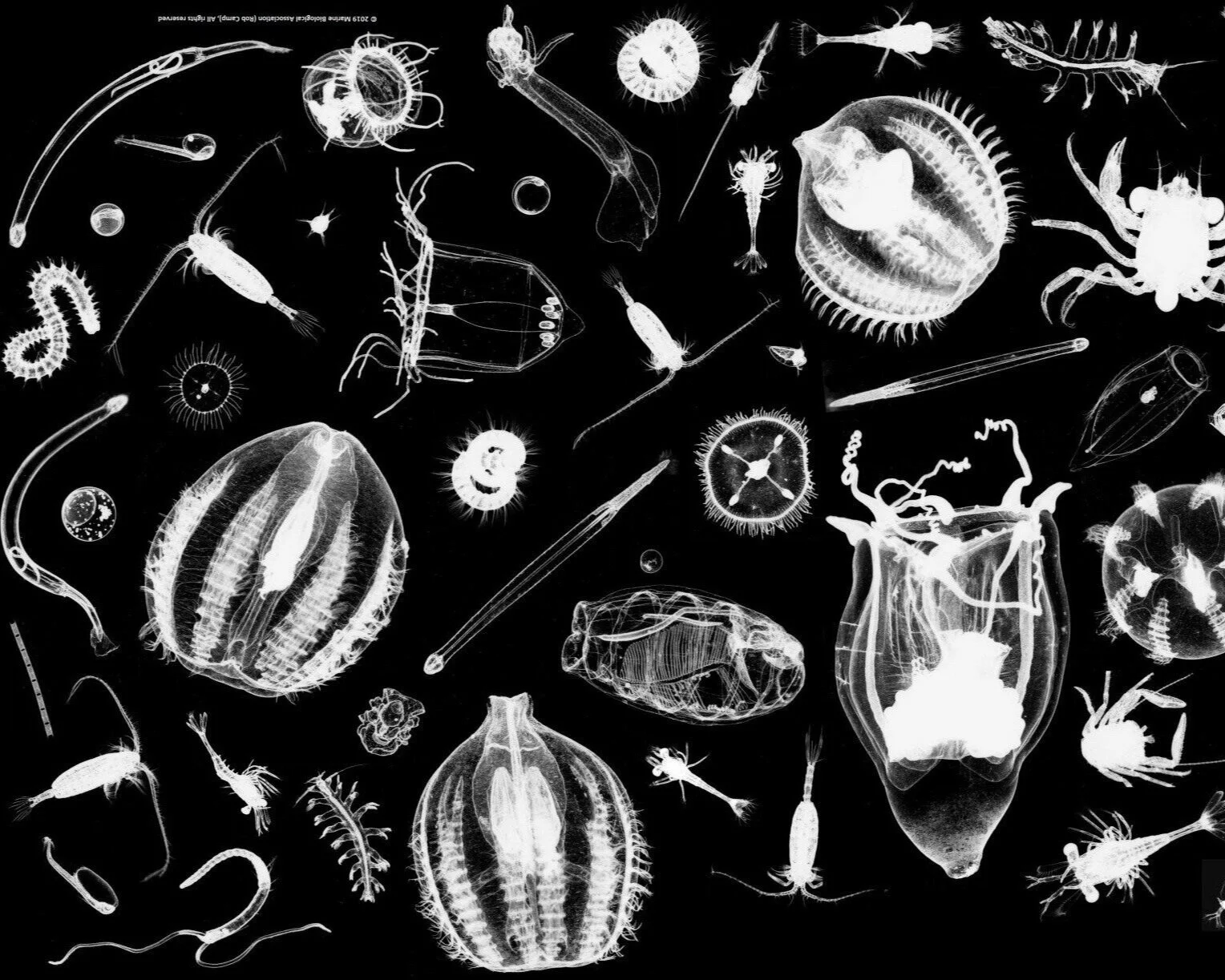 image+%287%29.jpg